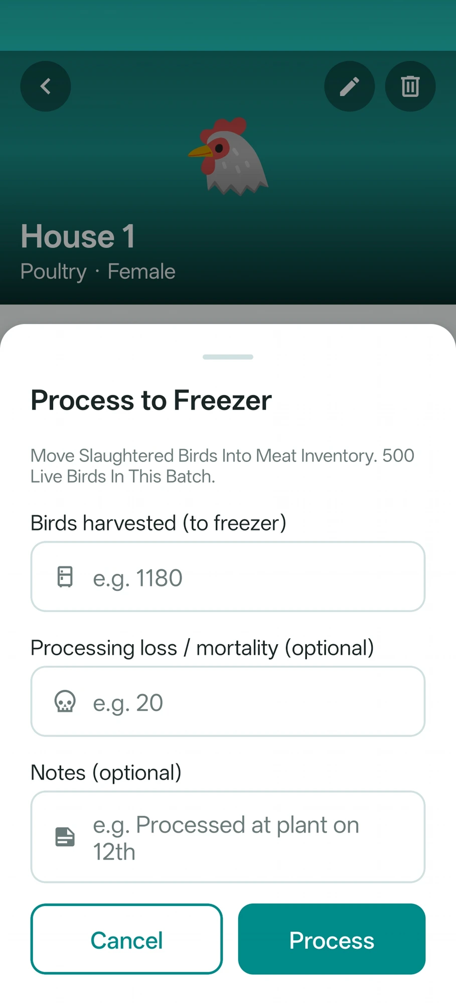 Process to freezer