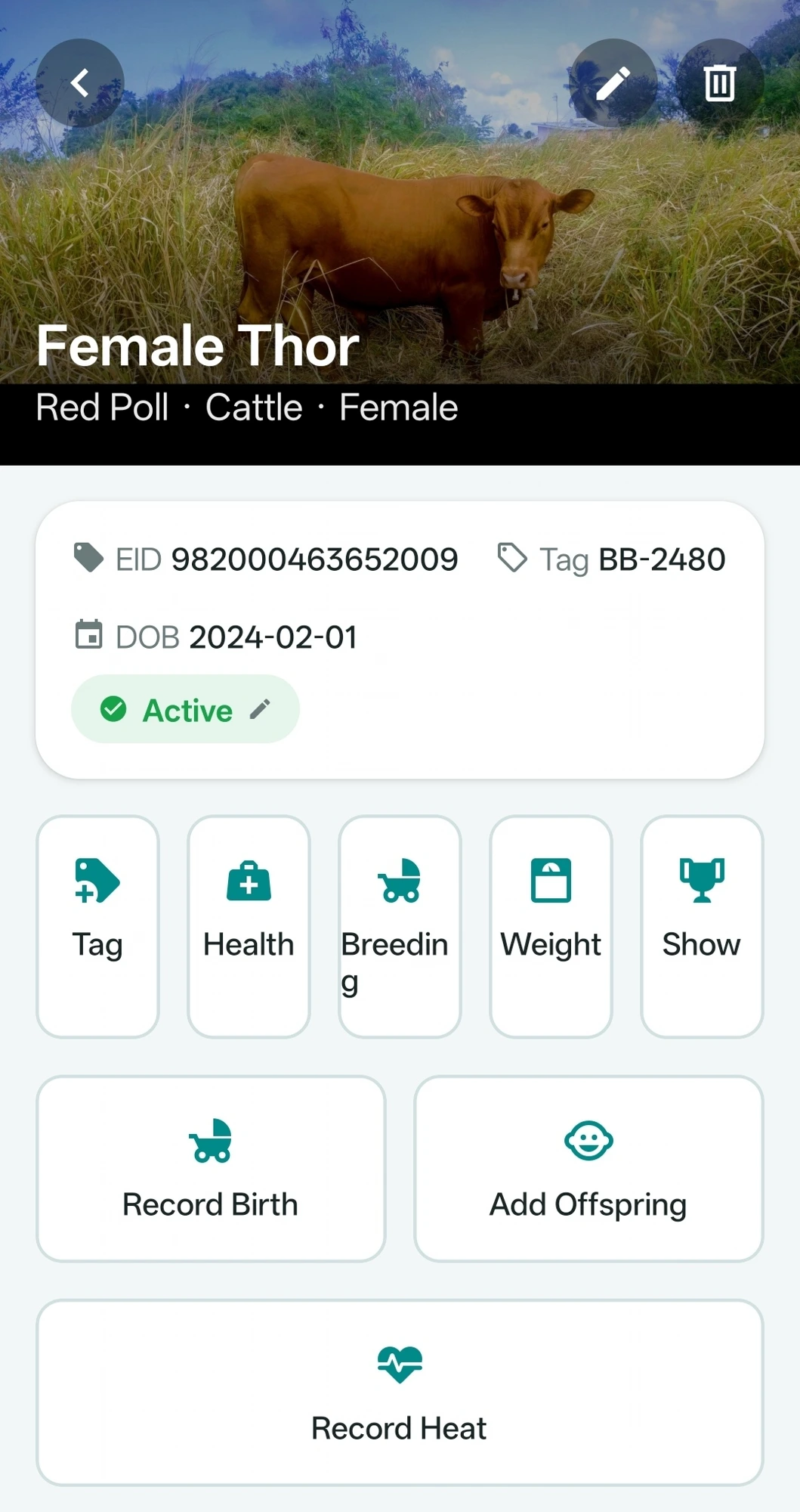 Animal Profile · Breeding & Heat